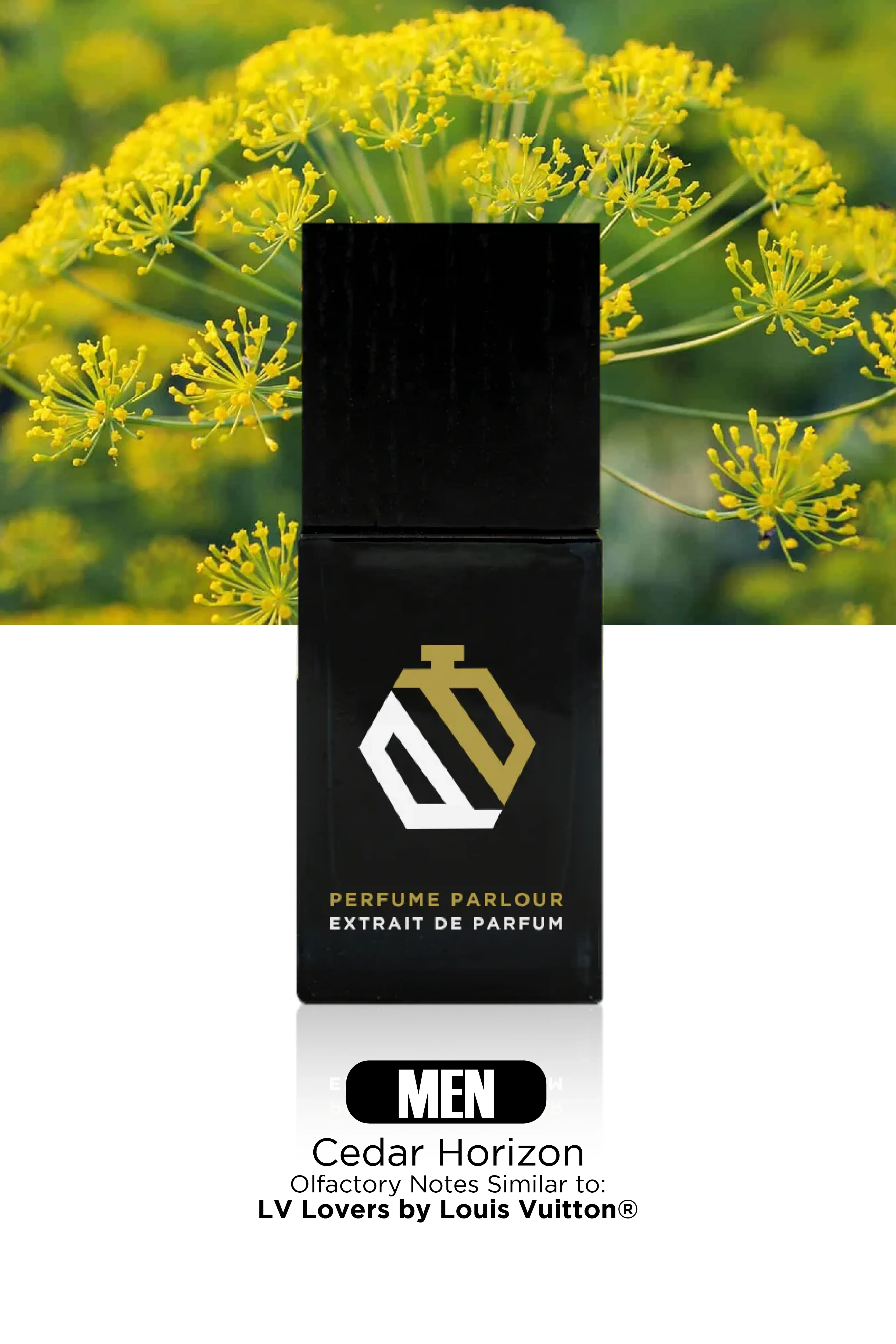 Cedar Horizon For Men - 2200