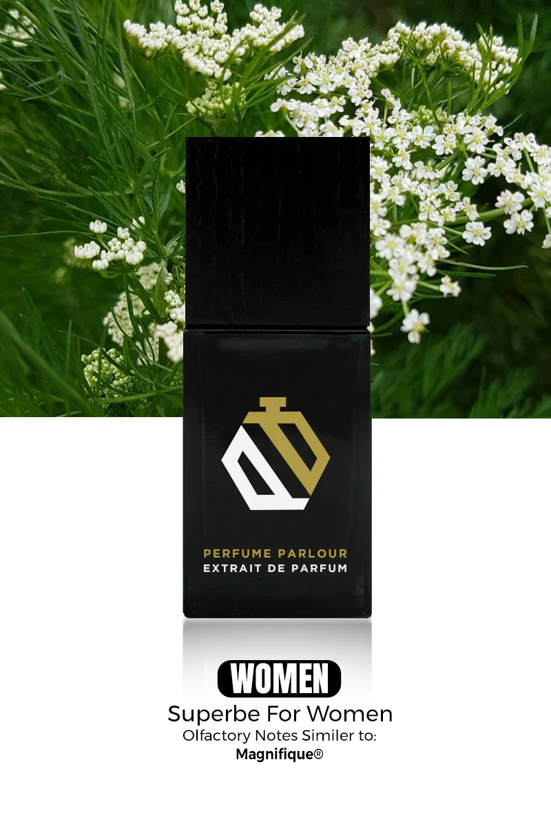Superbe For Women - 0301